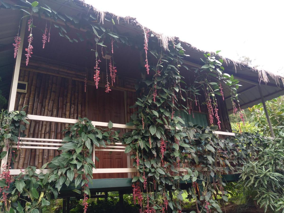 Koomankolly Resort Thirunelly Екстериор снимка